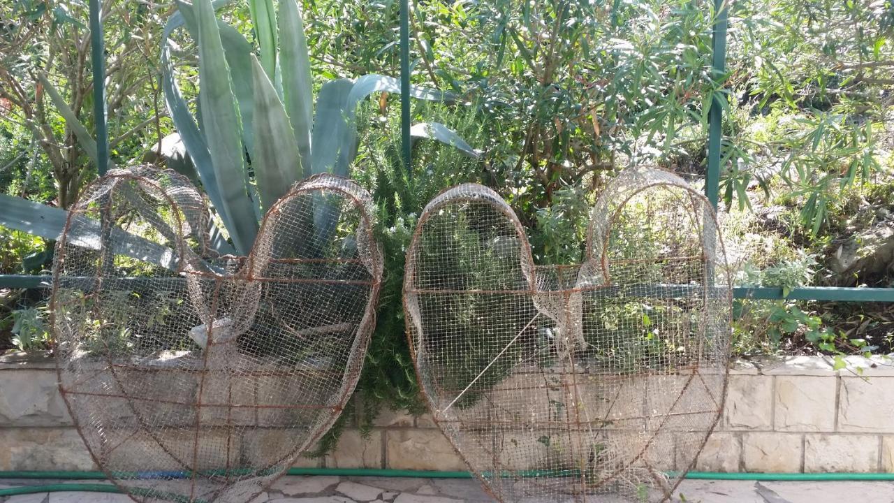 Drače Apartments Zovko מראה חיצוני תמונה